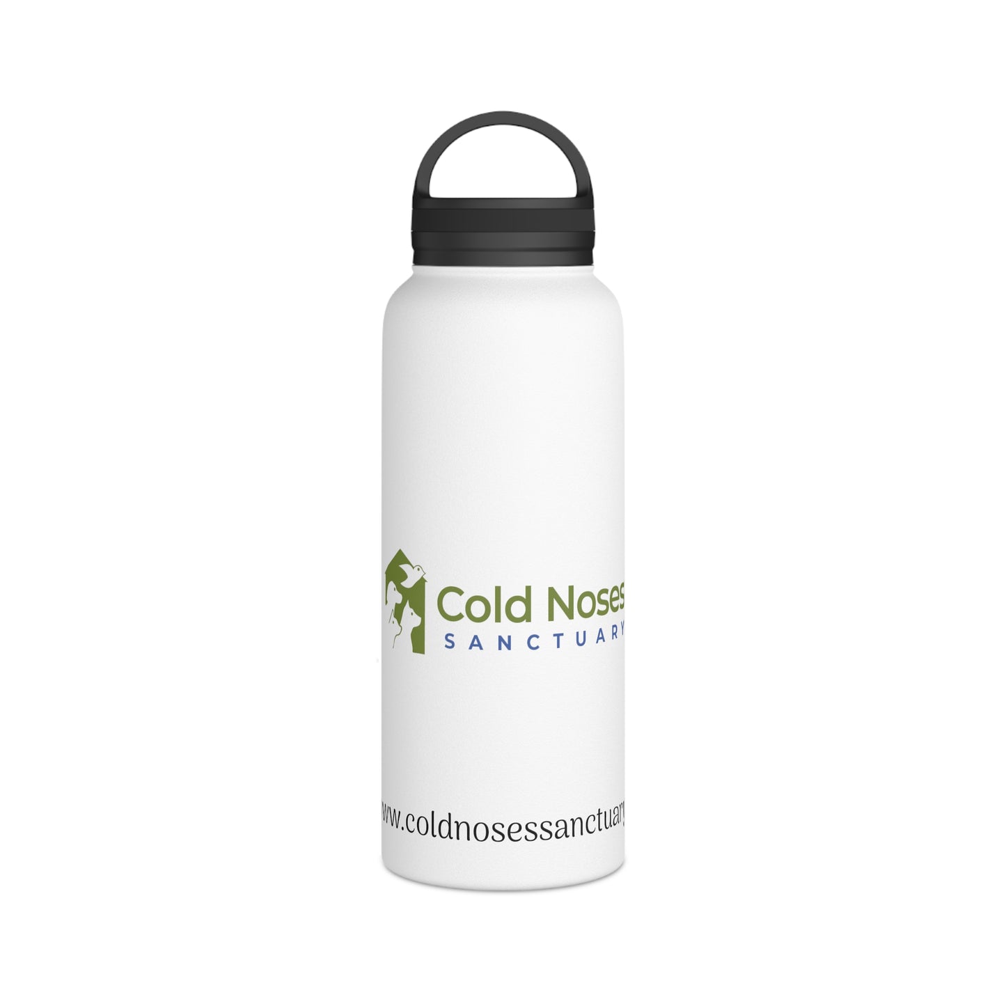 Stainless Steel Water Bottle, Handle Lid