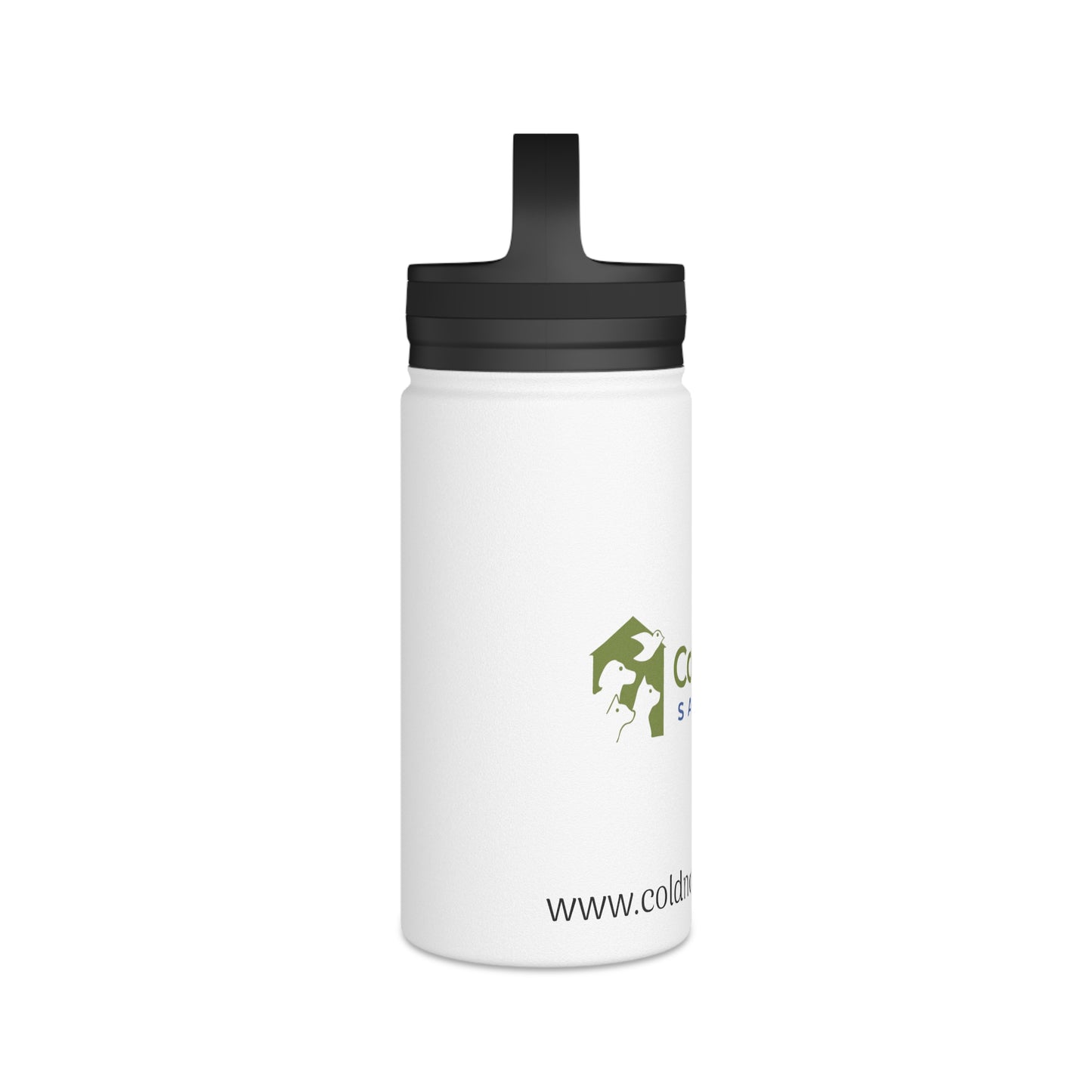 Stainless Steel Water Bottle, Handle Lid