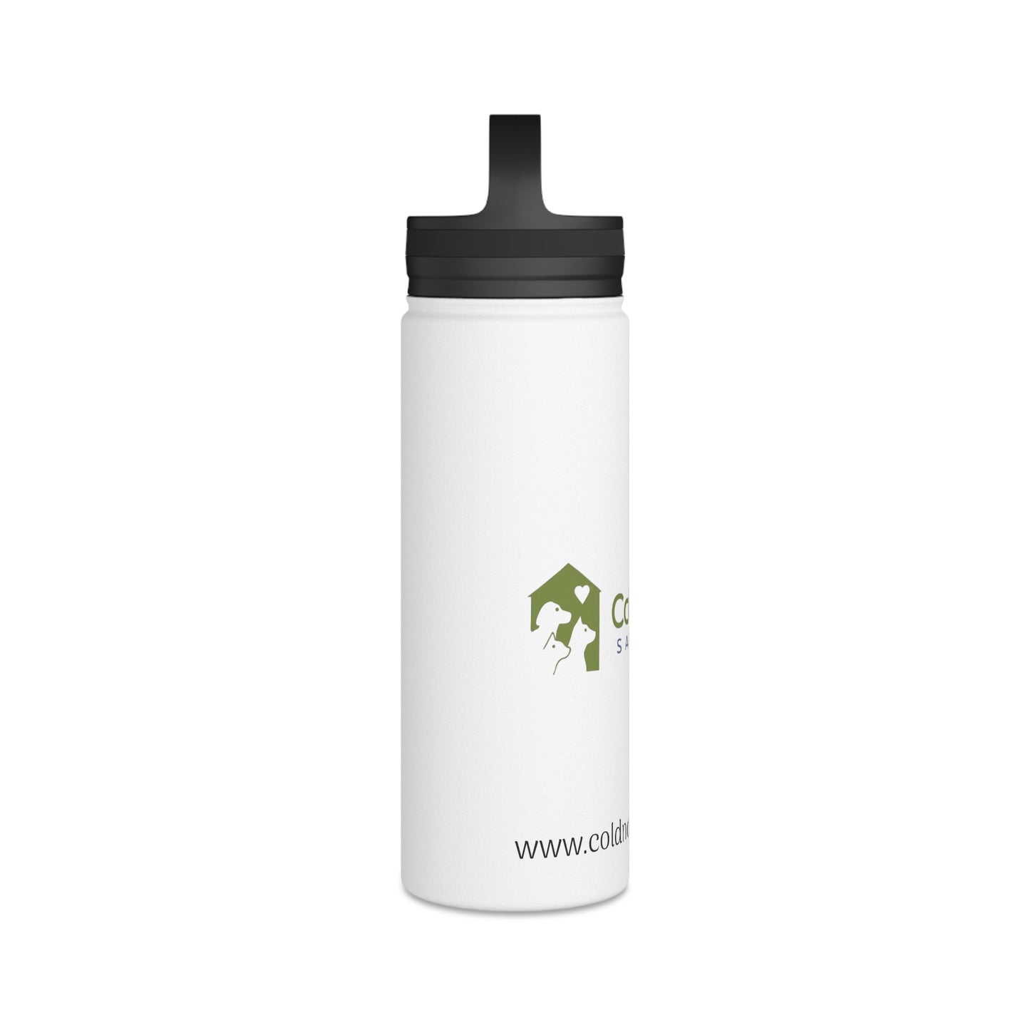 Stainless Steel Water Bottle, Handle Lid