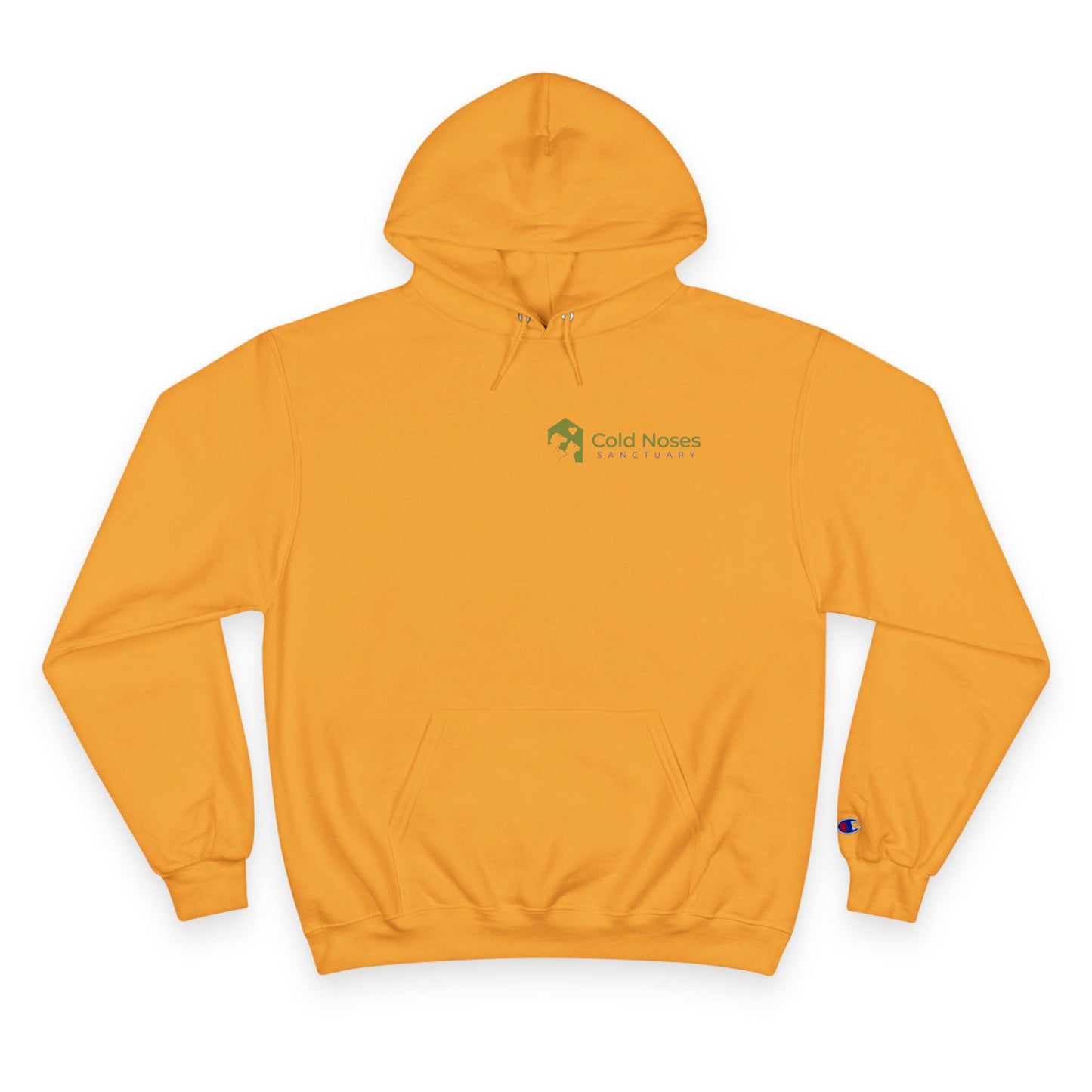 Champion Hoodie