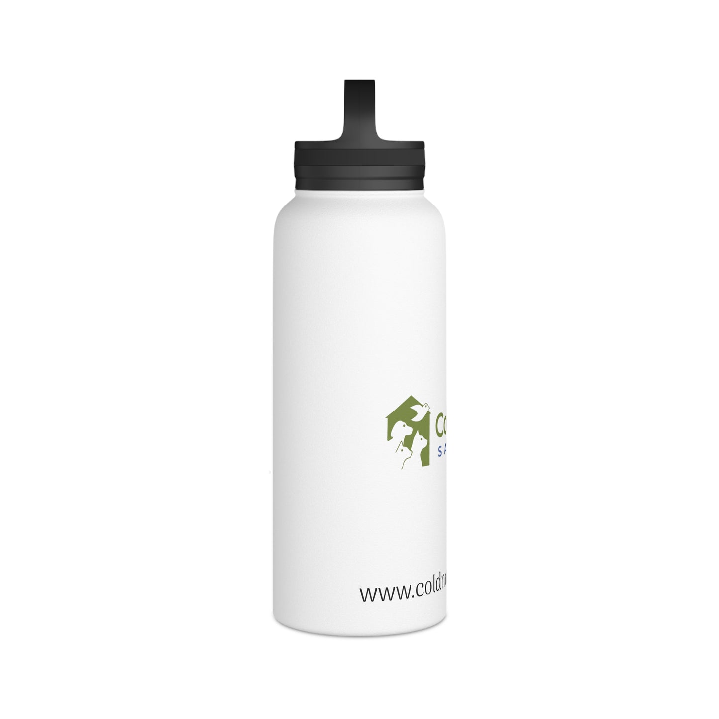 Stainless Steel Water Bottle, Handle Lid