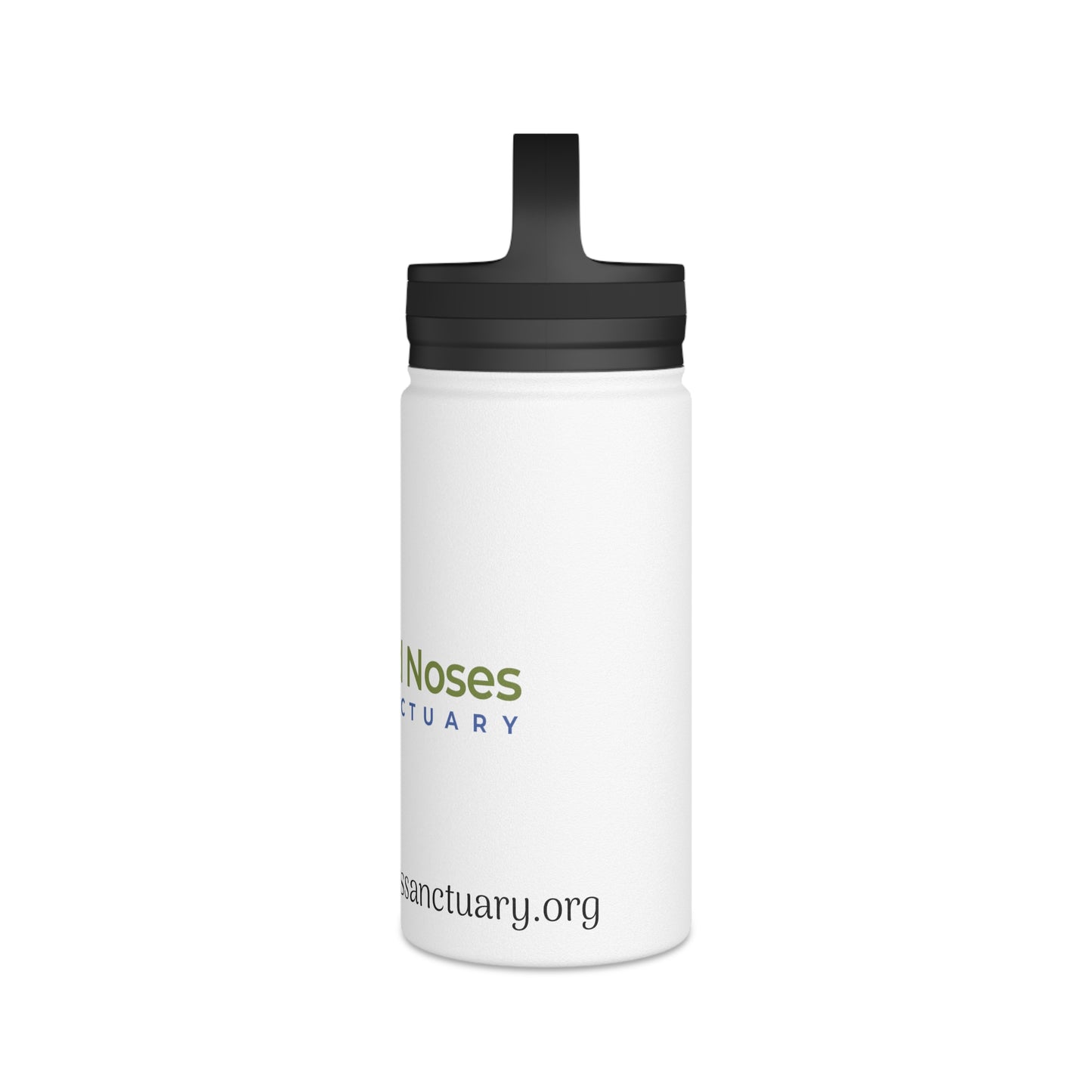 Stainless Steel Water Bottle, Handle Lid