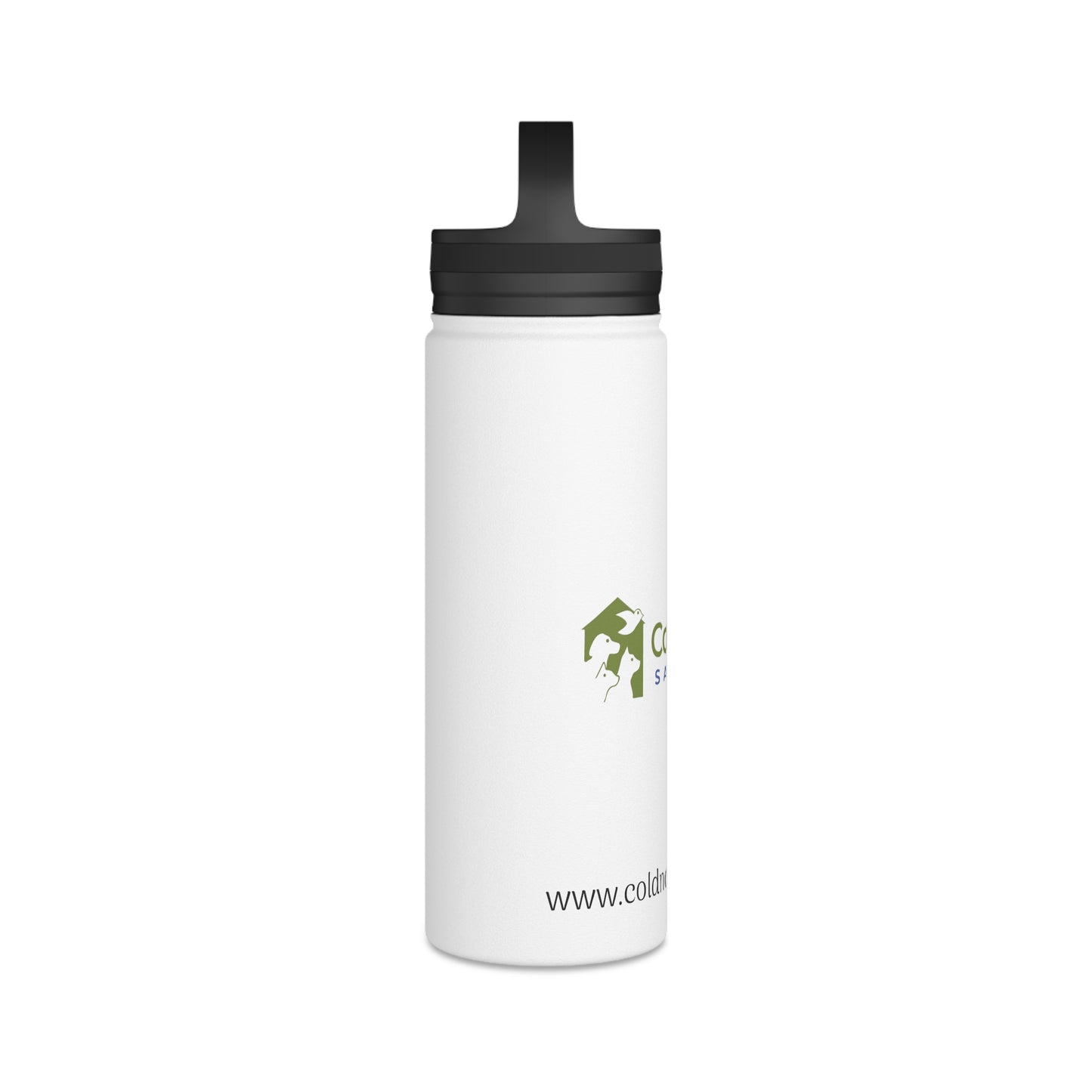Stainless Steel Water Bottle, Handle Lid